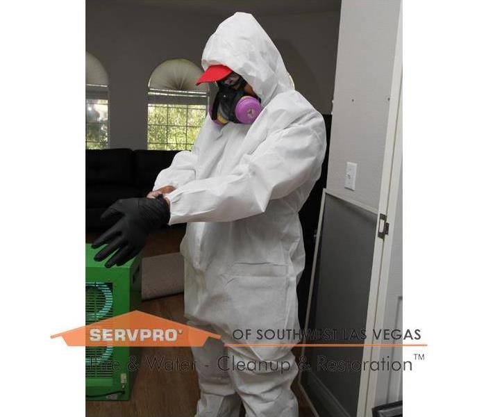 Our technician wearing Personal Protective Equipment in a home.
