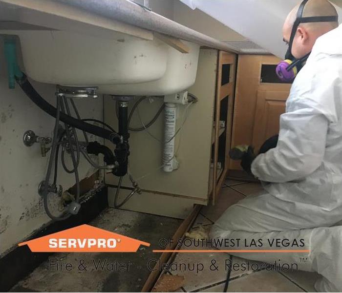 A SERVPRO Mold Technician is remediating mold from under a sink in a kitchen.